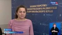 На Ставрополье собирают кабачки с «золотой серединой»